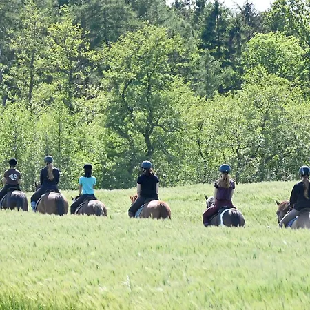 度假居 Luxuswellnesshaus Ostwind *